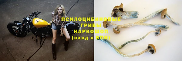 дживик Алзамай